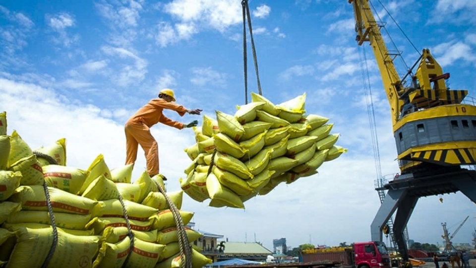 Rice exports grow in volume and value in first half of January